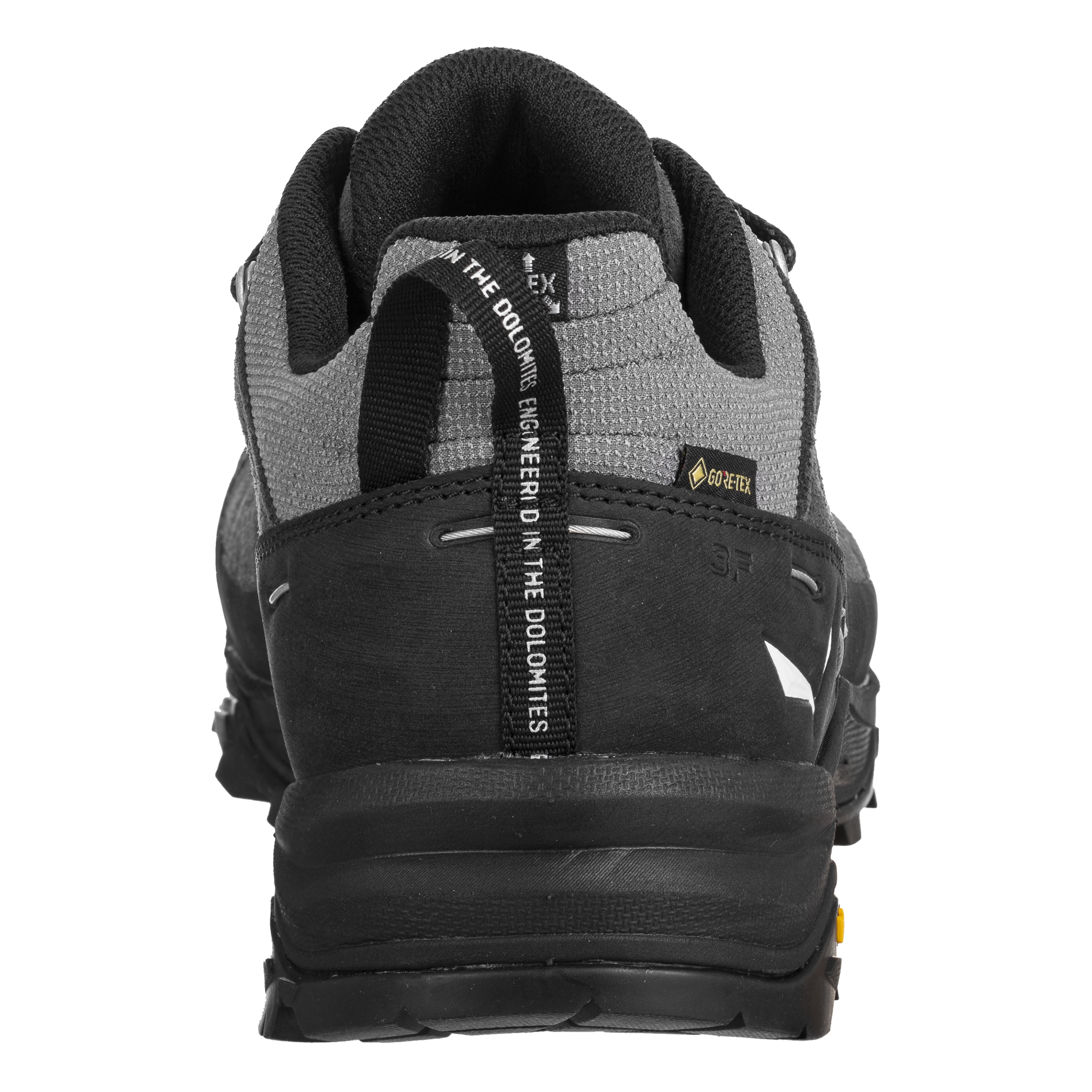 Alp Trainer 2 Gore-Tex® Schuh Herren