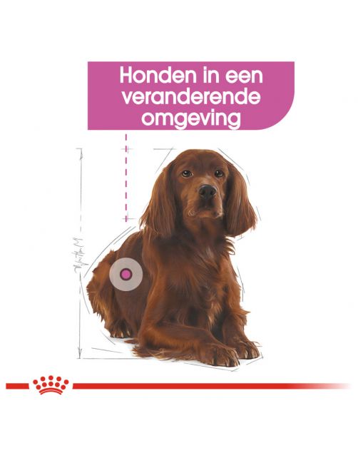 Royal Canin Relax Care Medium - Hondenvoer