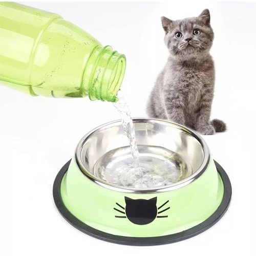 Alimentador de aço MyPetCare, verde