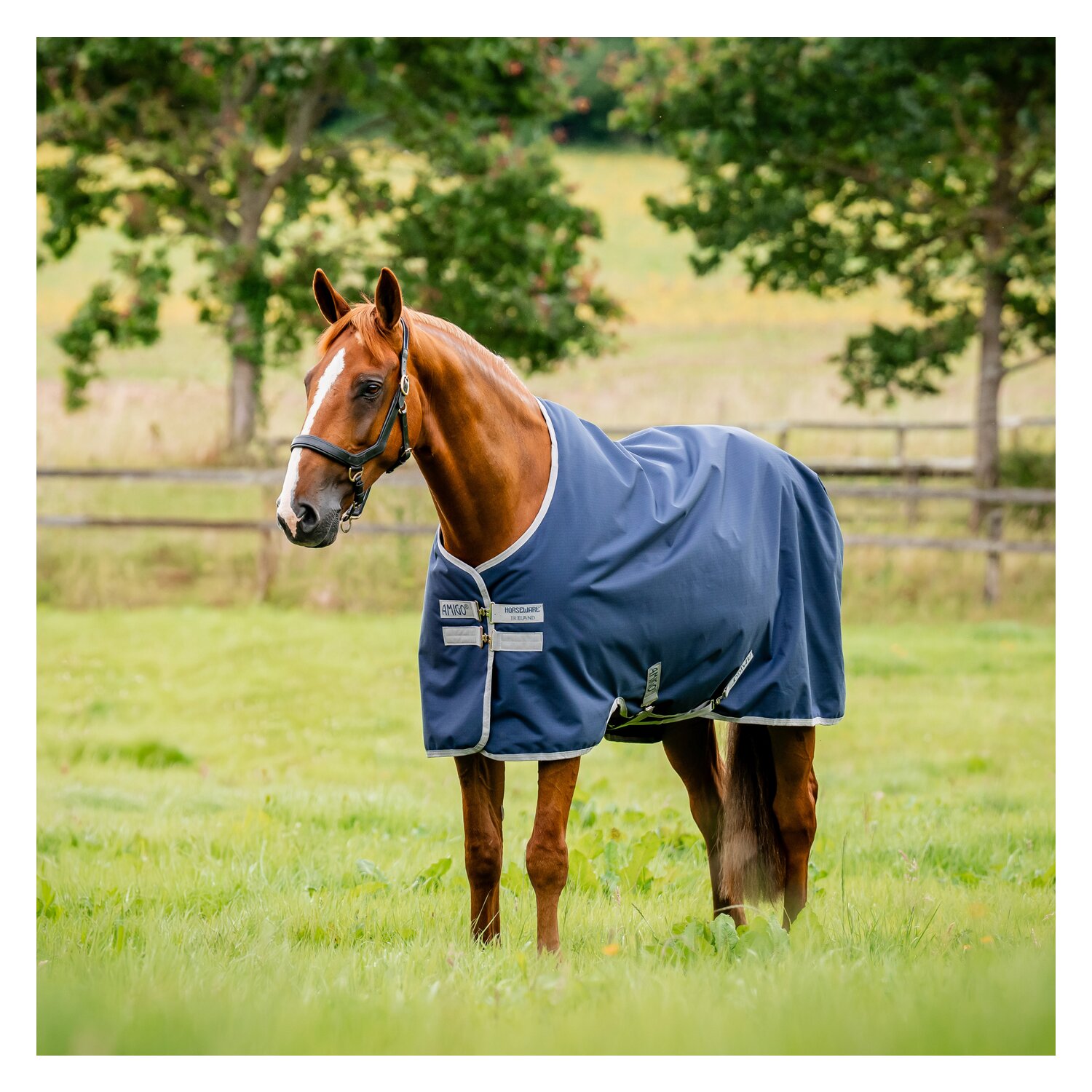 HORSEWARE Weidedecke AMIGO Ripstop 900 Denier, ohne Füllung - navy/titanium grey