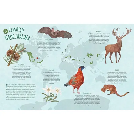 Tessloff Biome der Welt