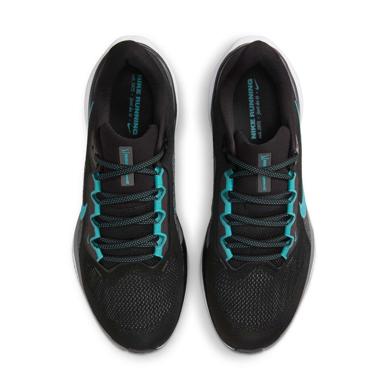 Nike  Pegasus 41