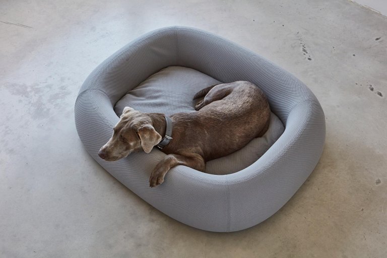 MiaCara Barca hondenmand small/medium slate