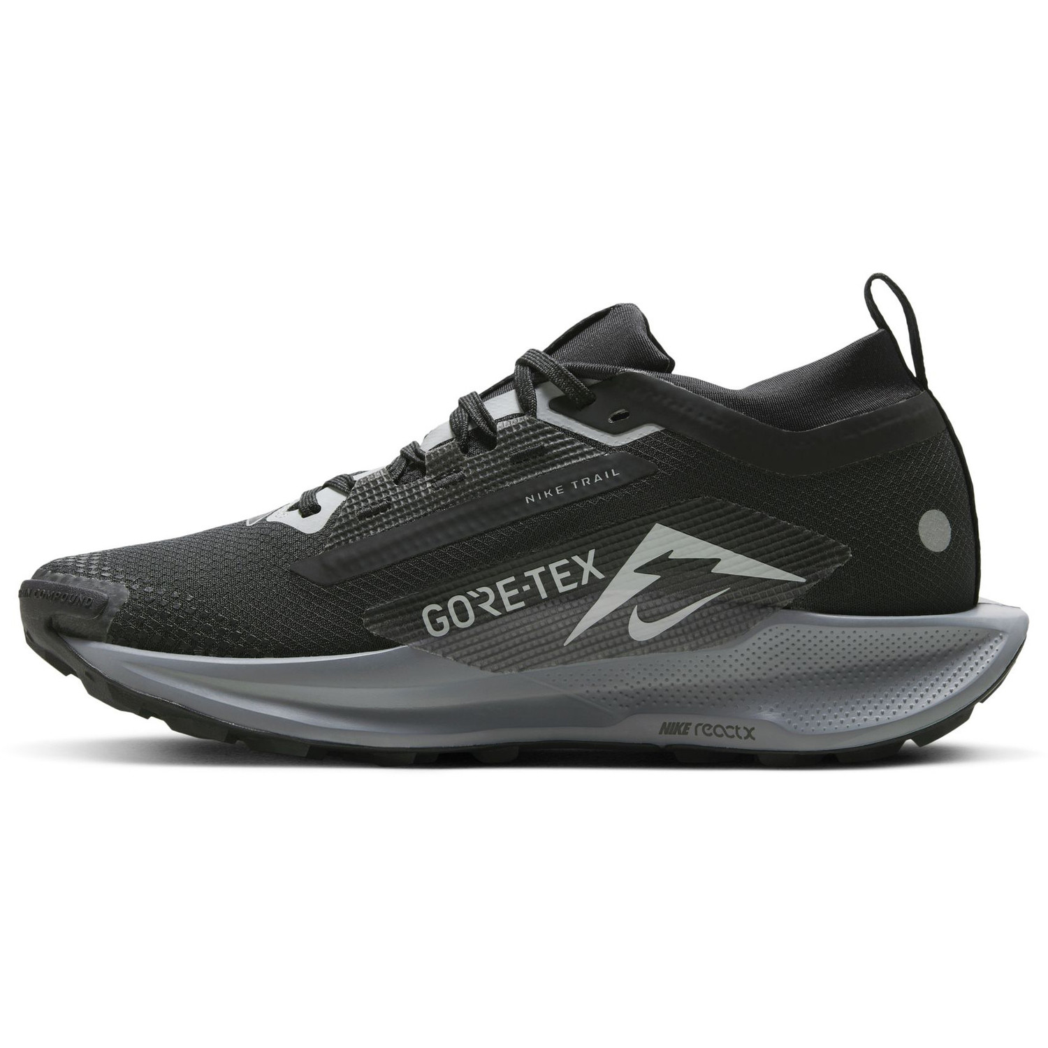 Nike Pegasus Trail 5 GTX Dames