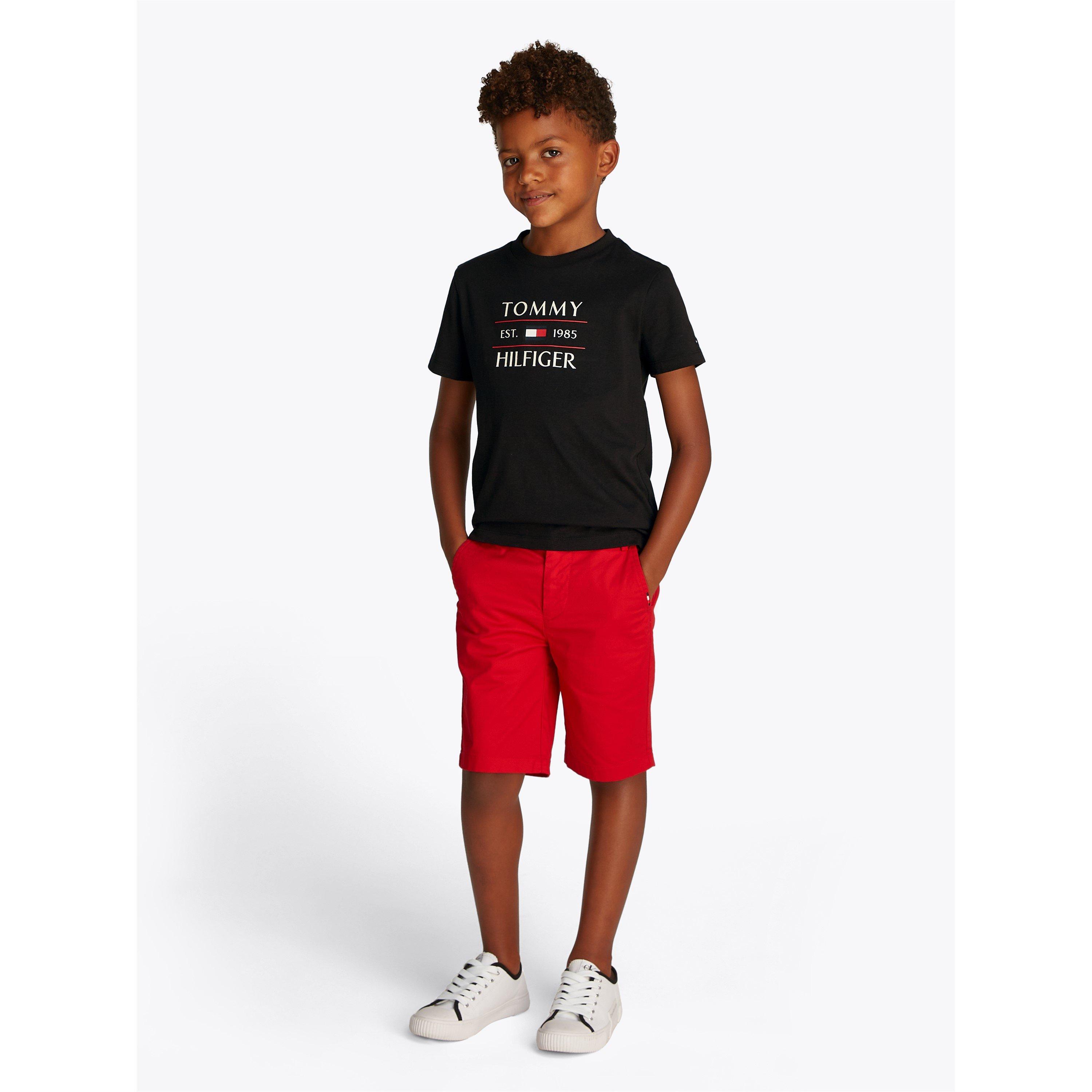 Tommy Hilfiger TOMMY FLAG HILFIGER REG TEE SS