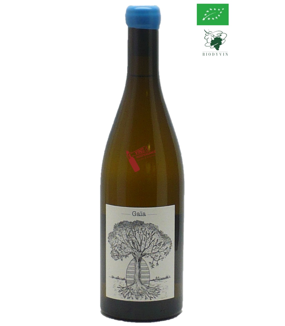Jérôme Bretaudeau Vin de France