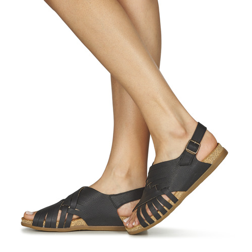 El Naturalista - ZUMAIA - Noir