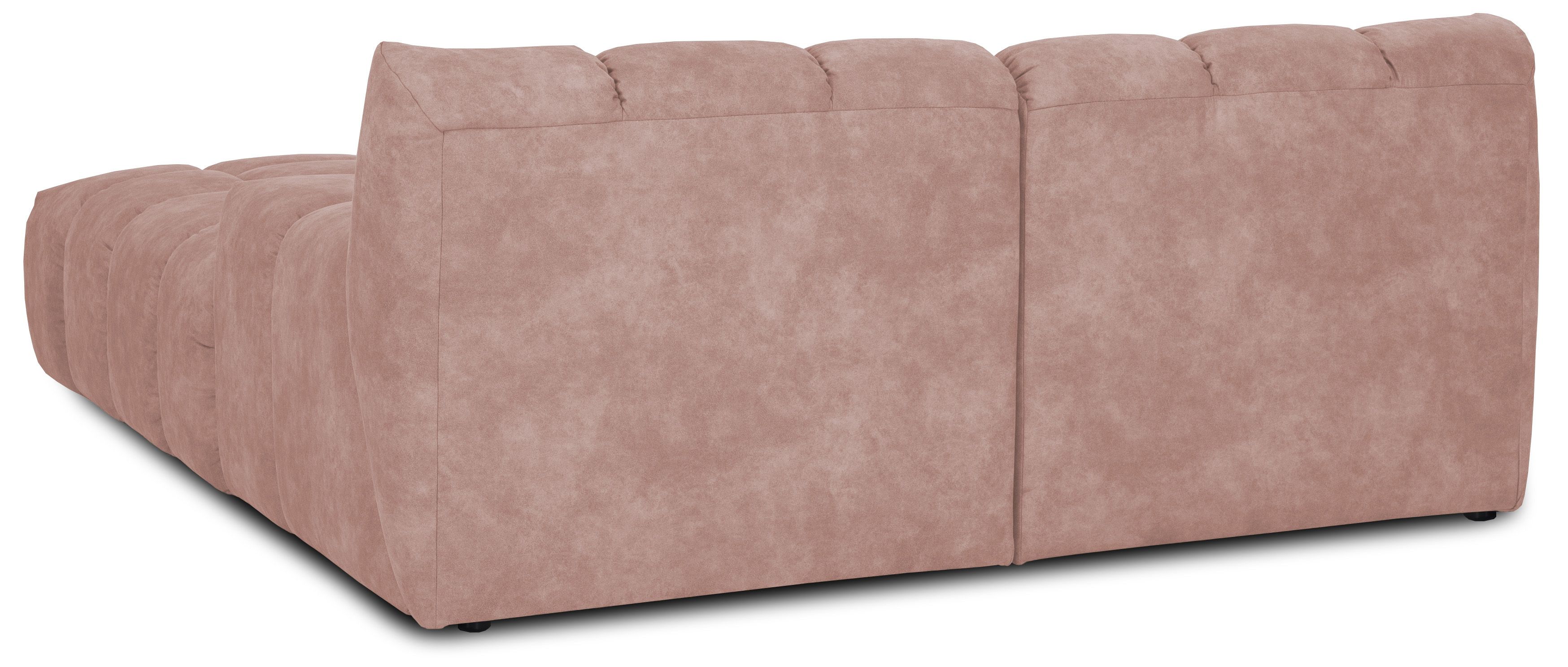 Loungebank Trentino