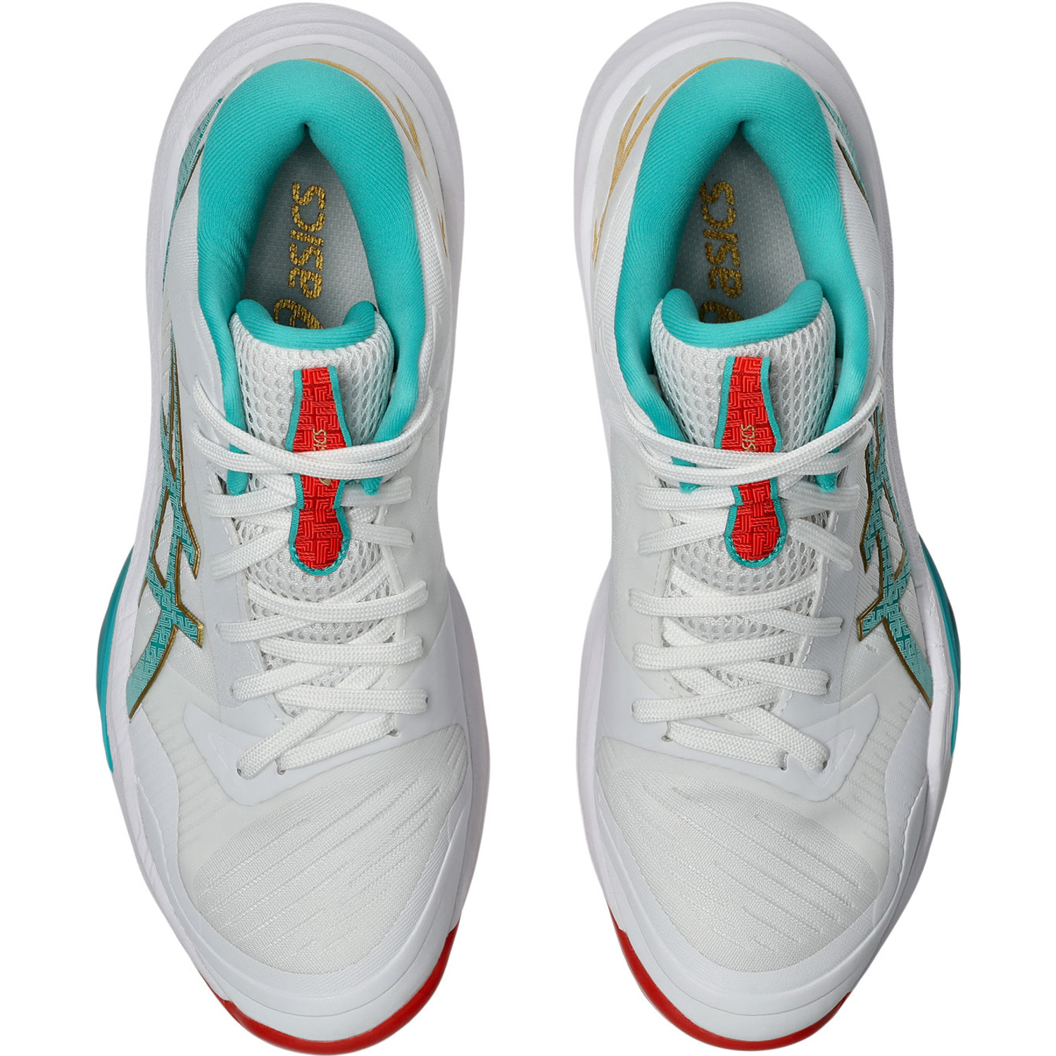 ASICS Sky Elite FF MT 3 Dames