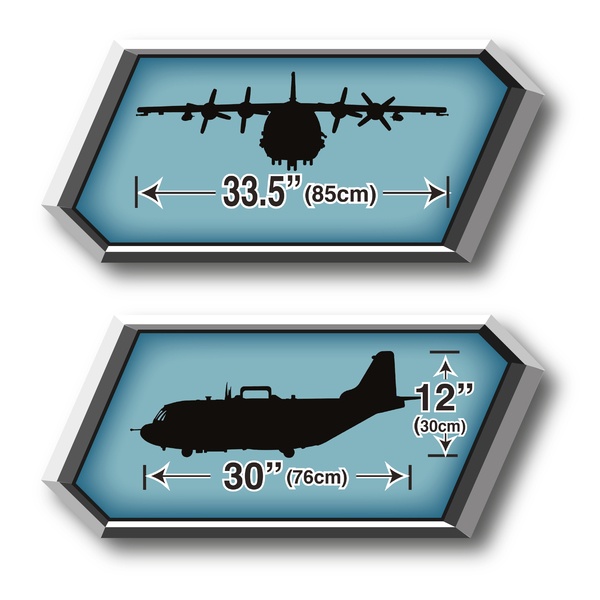 Avion cargo avec soldats 76 cm