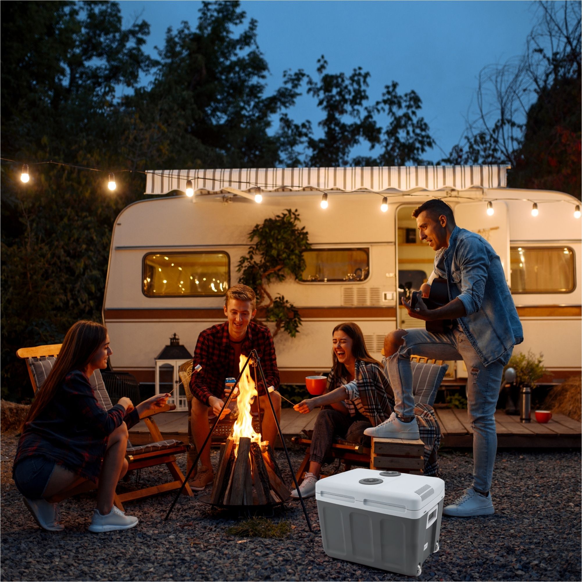 Thermoelektrische Kühlbox 40L