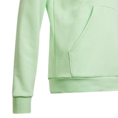 Adidas SportswearBig Logo Essentials Cotton Hoody - grün