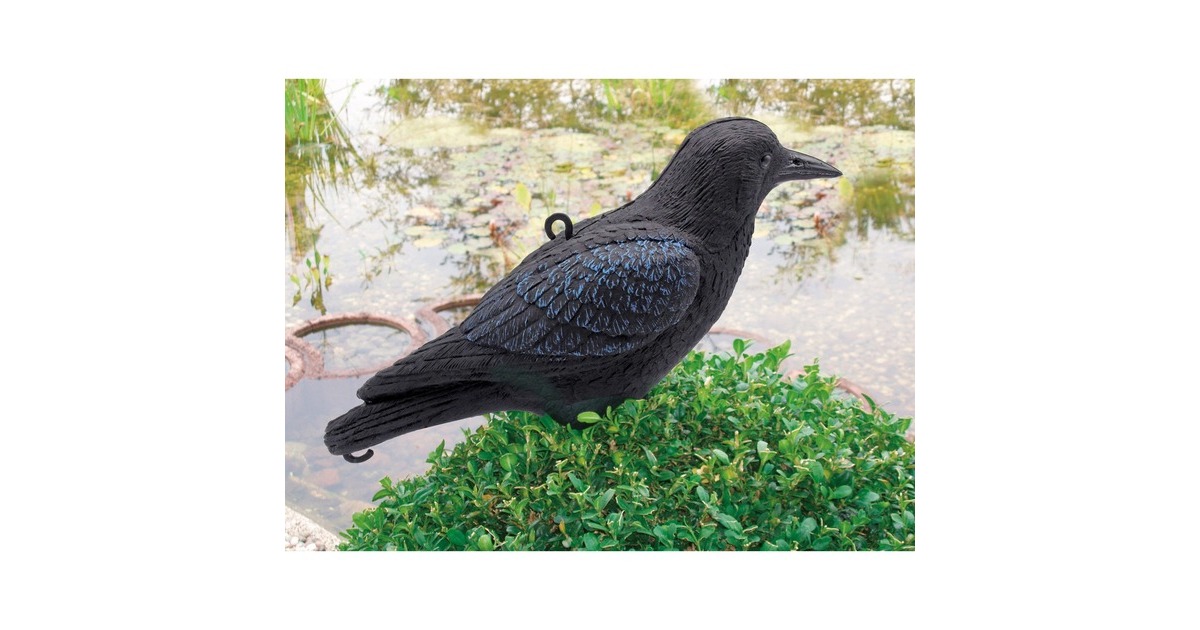 UbbinkKraai waterornament