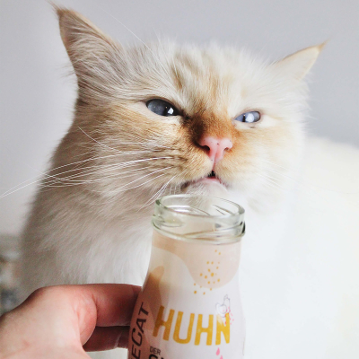 SmoothieCat mit Huhn 150ml