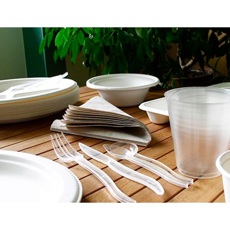 Assiette plate ivoire coldis fibres vegetales              biodegradable diametre 23cm   sachet 50 unites