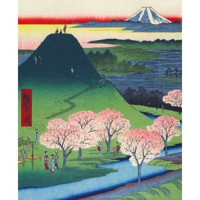 New Fuji Card
