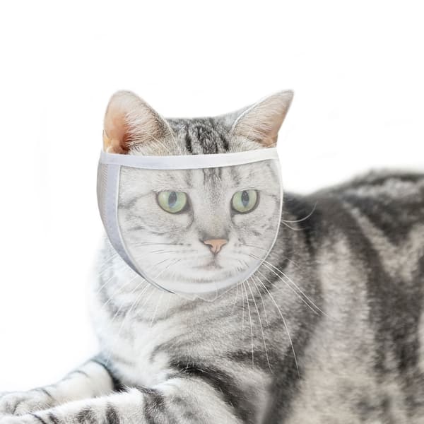 INF Kattenekurv for trimming og behandling Hvit  M