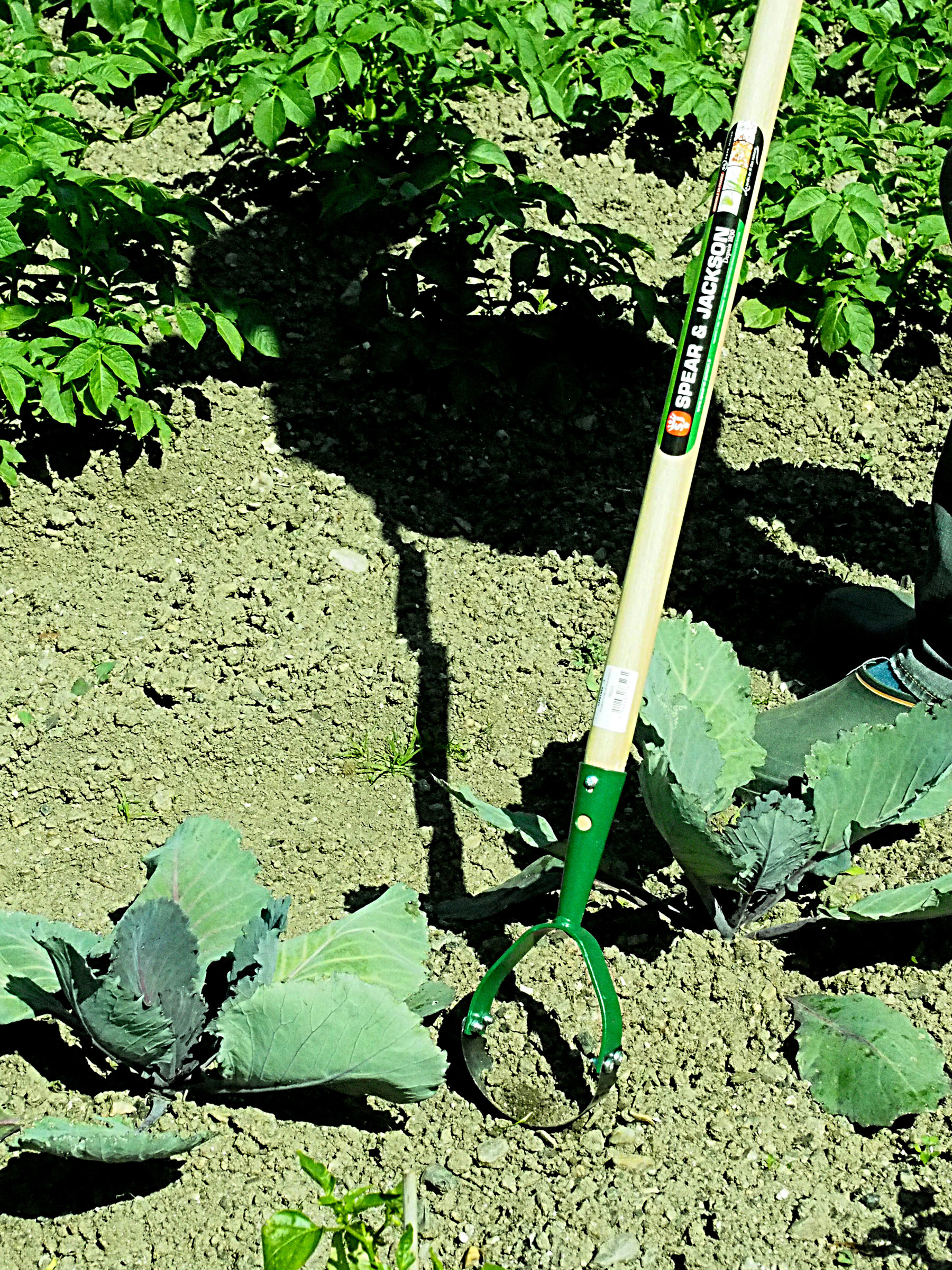 Grattoir de rocaille dentelé manche bois