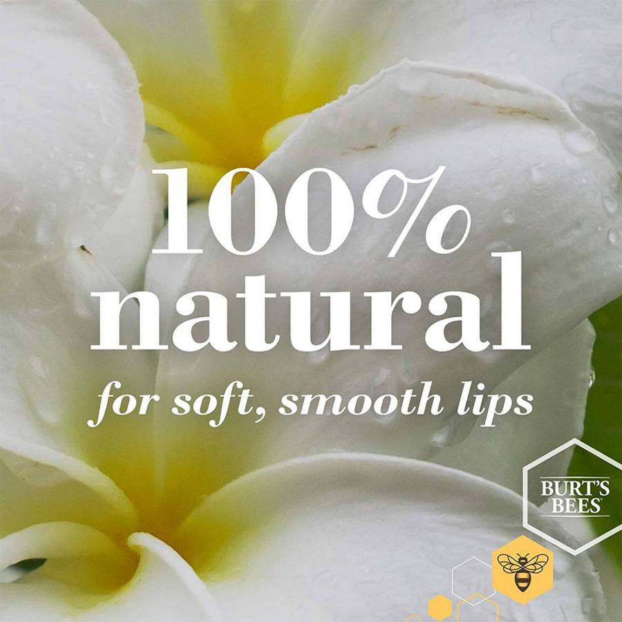 Burt's Bees Tinted Lip Balm Pink Blossom 4,25g