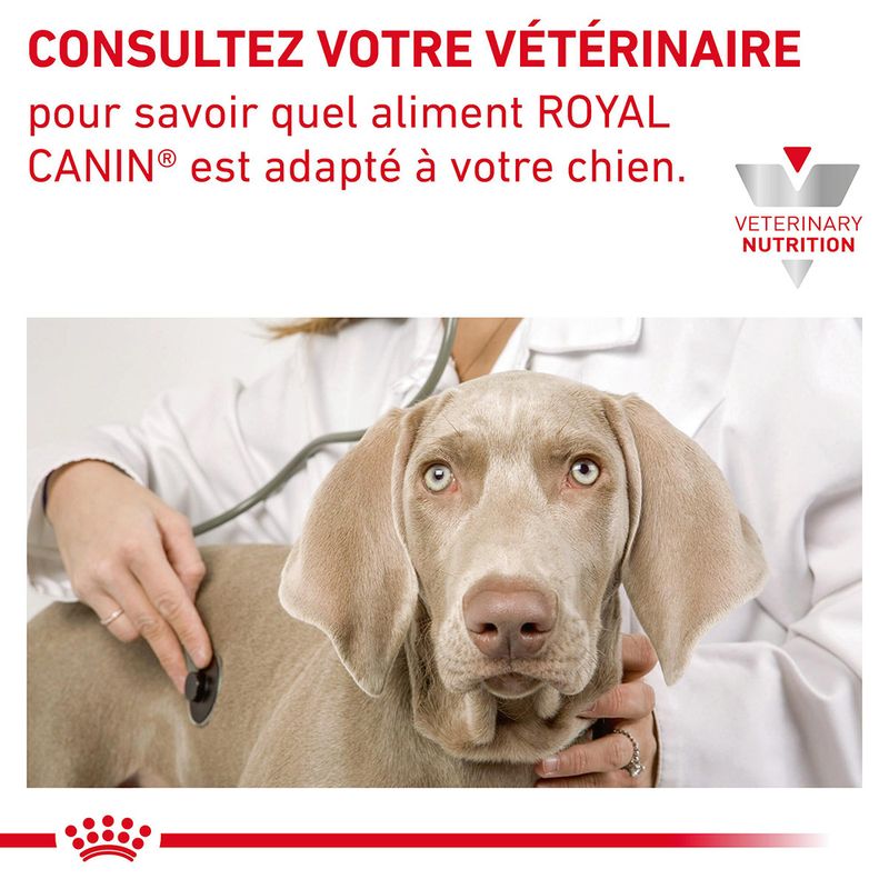 Royal Canin Veterinary Canine Hepatic à Prix Discount | bitiba.fr