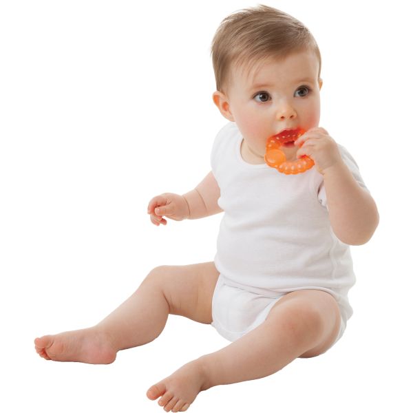Playgro Bumpy Gums Water Teethers 3 Stuks