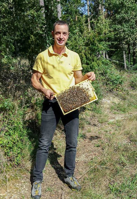 Bio Waldhonig von Bio-Imkerei Kordesch