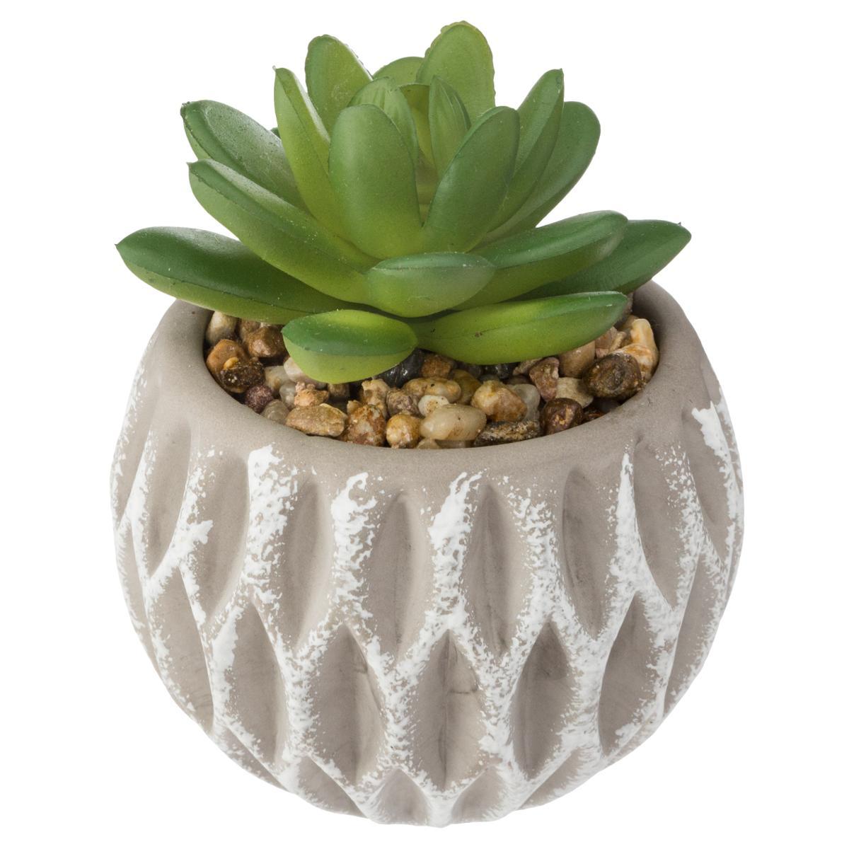 SUCCULENTE POT CIMENT D.8X9CM