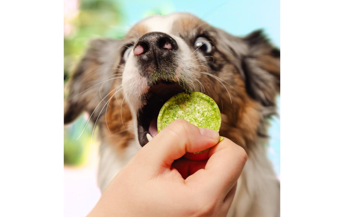 Leckerli Dog-Pops Lachs und Algen 24 gKöstliche Belohnung mit wertvollen Nährstoffen