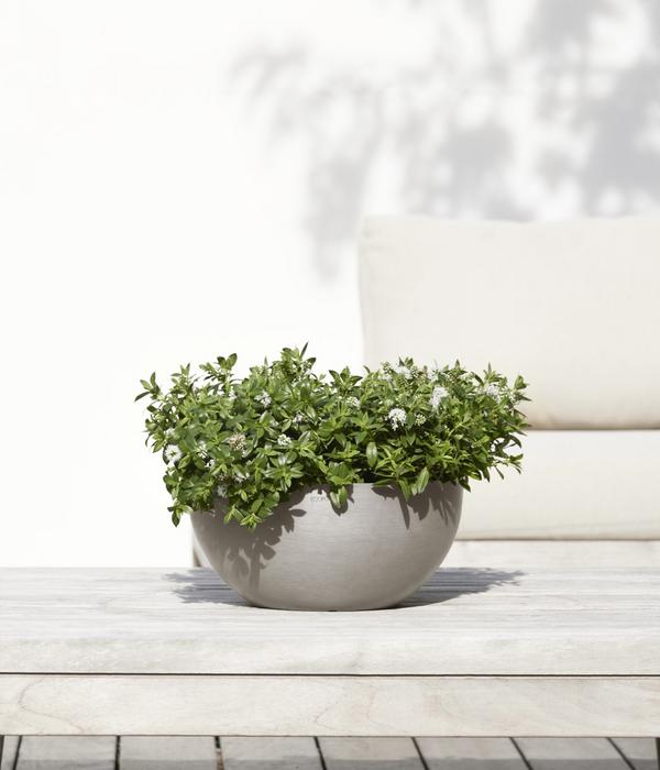 Ecopots Kunststoff-Topf Brussels, rund