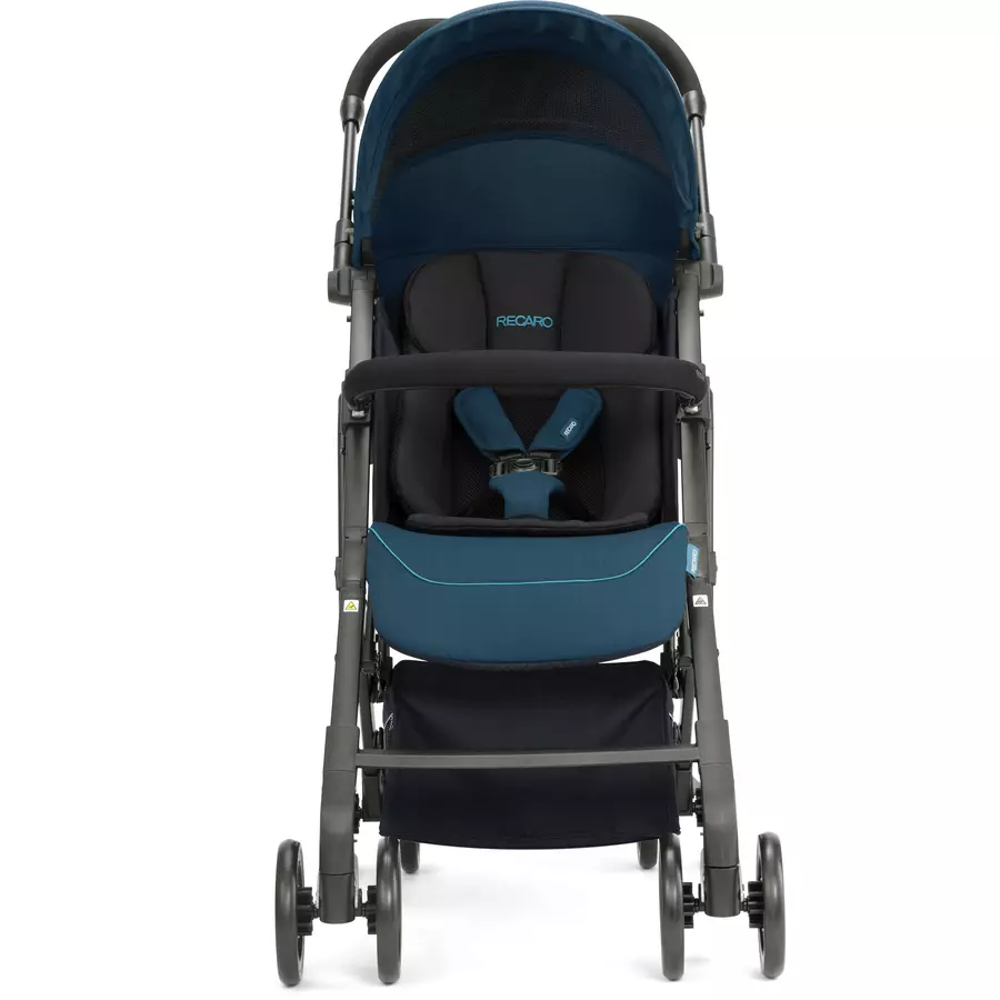 RECARO Buggy Easylife Elite 2 Select Sweet Curry