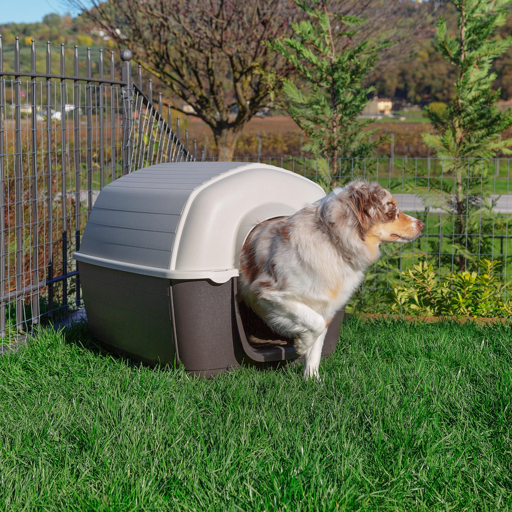 Ferplast niche d'extérieur pour chiens kenny 03, habitat pour chiens en résine thermo-plastique, résistant aux chocs et rayons uv,
