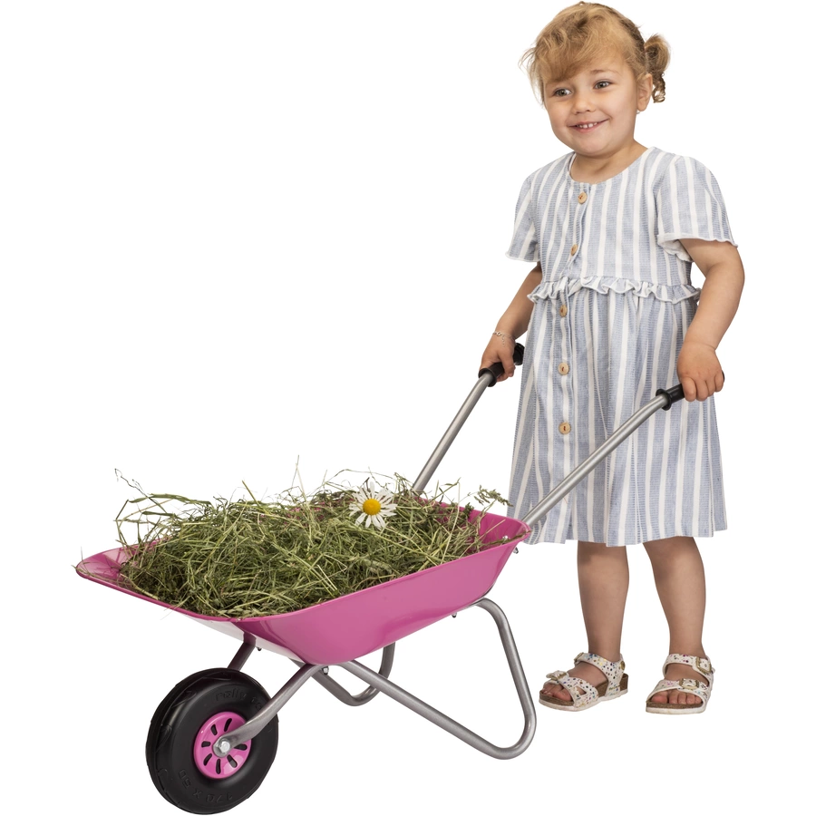 rolly®toys rollySchubkarre pink