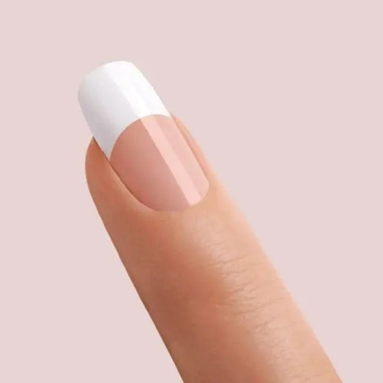 French Acrylic Kit