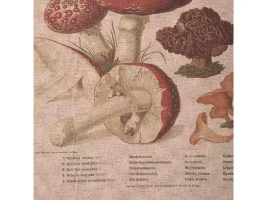 Cadre en bois et tissu