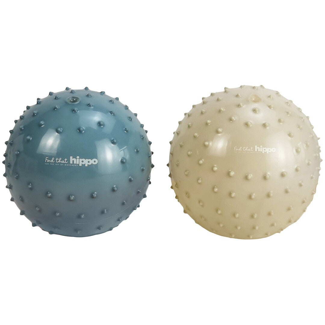 Find that hippo sensorische ballen - blauw - 2st
