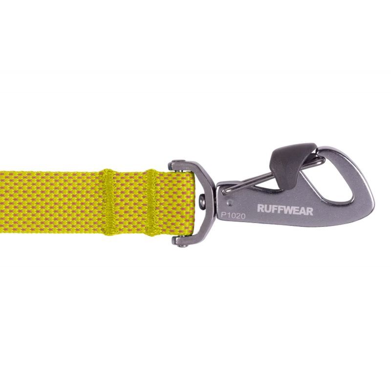 Flagline Leash - Laisse pour chien