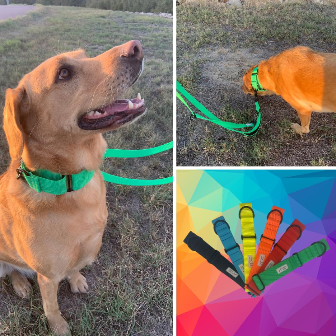 EGV - Coleira Martingale. Coleira artesanal para galgo, fabricada na Espanha (Verde)