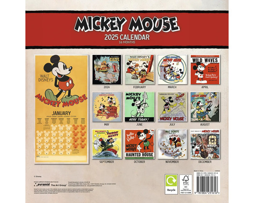 Mickey Mouse wandkalender 2025, 30x30 cm