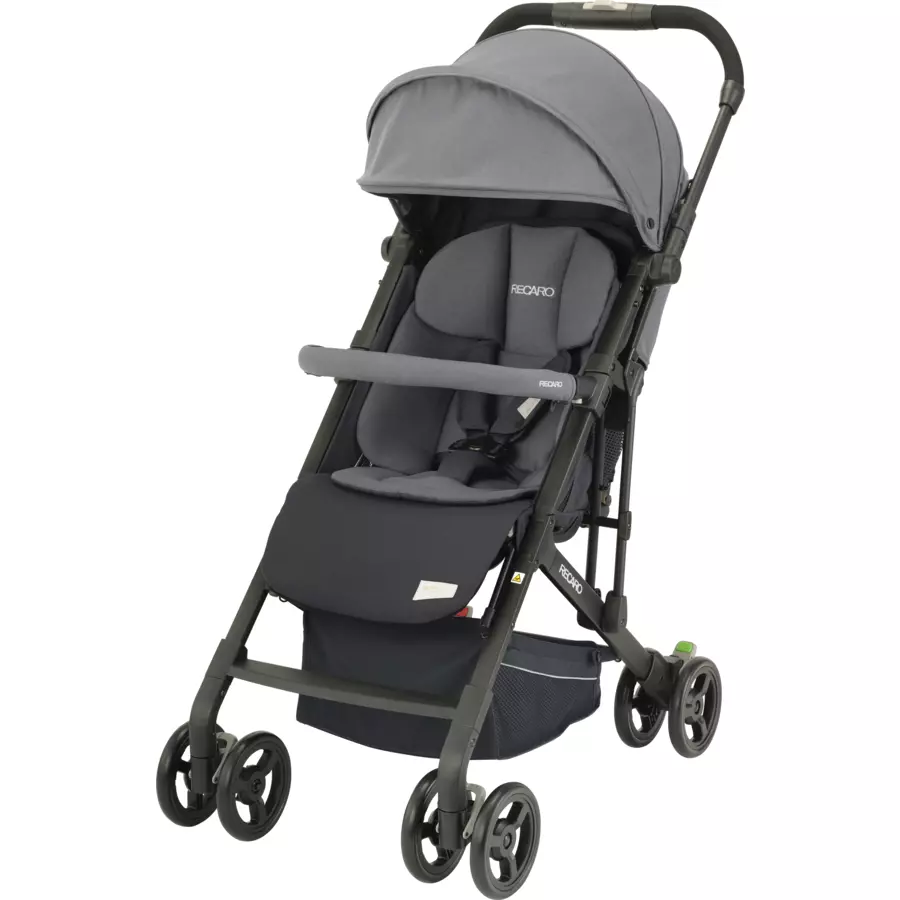 RECARO Buggy Easylife Elite 2 Prime Silent Grey