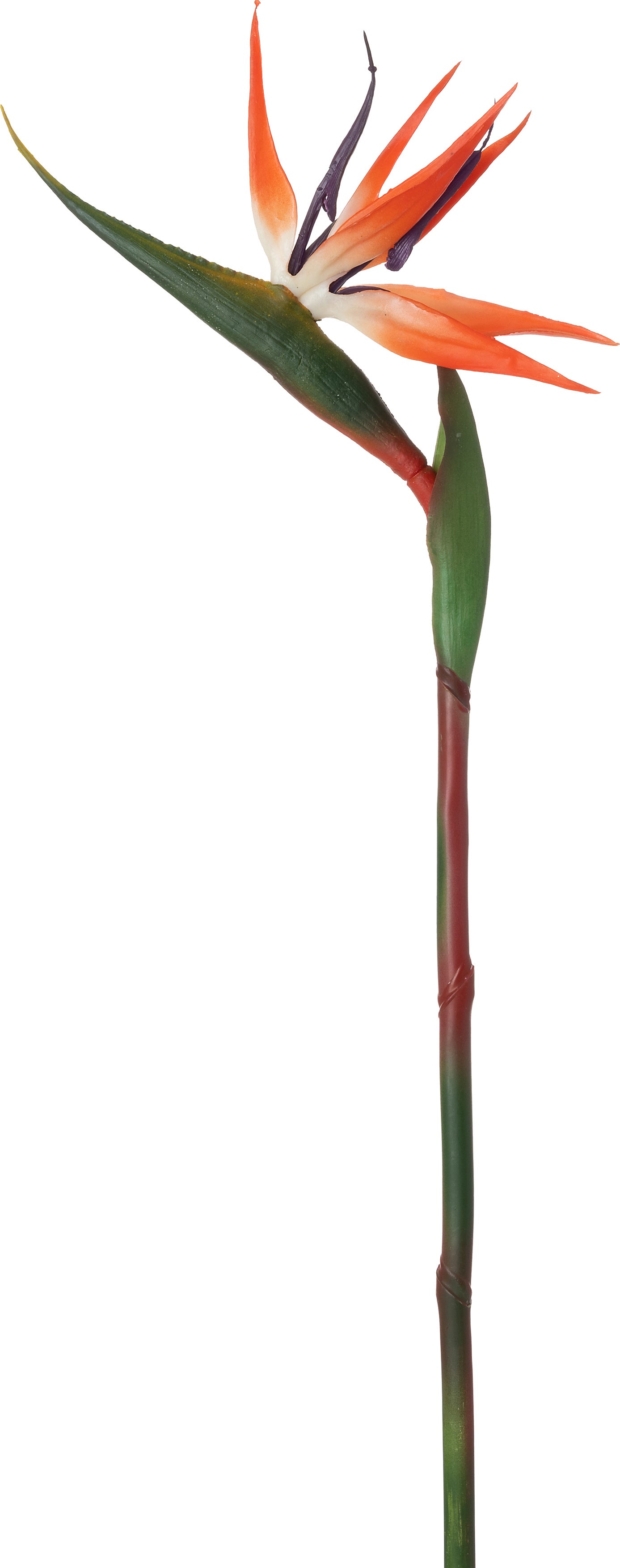 Intratuin kunstbloem Paradijsvogelbloem oranje paars 84 cm
