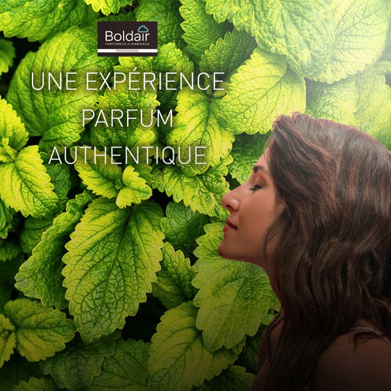 Désodorisant professionnel Boldair fraîcheur mentholée – Aérosol de 500 ml