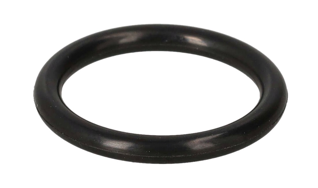 O-ring - 25 x 3,53mm F-20