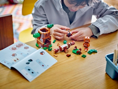 LEGO Speeltuin van de Goomba's (71433)