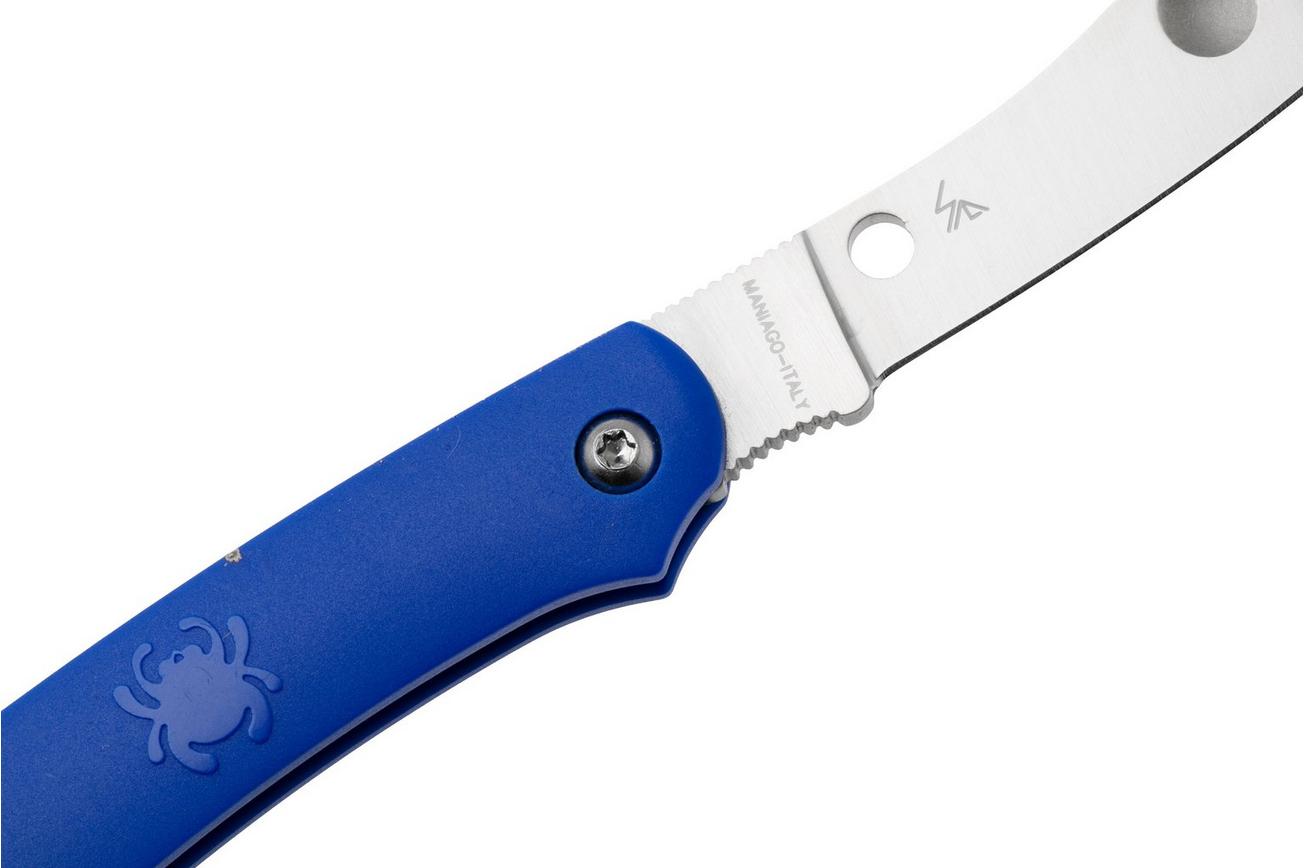 Spyderco Roadie Blue C189PBL zakmes