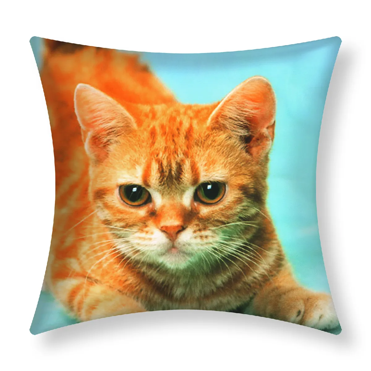 Housses de coussin AVIZAR - Chat Jaune 40x40CM