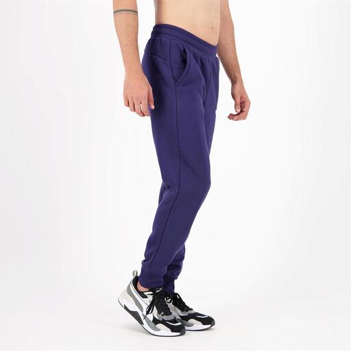 Puma Pequeno