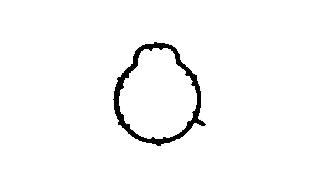 Pakning, indsugningsmanifold