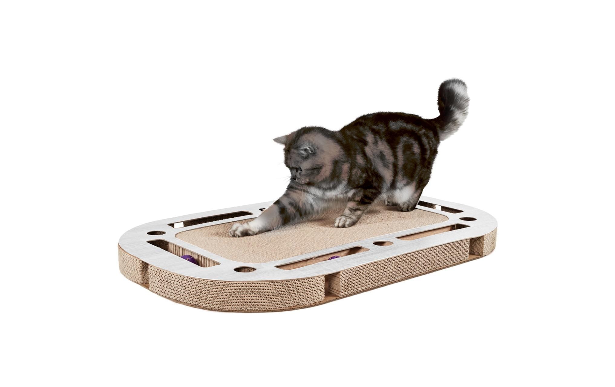 Tier-Intelligenzspielzeug »CanadianCat Playplate« Pappe
