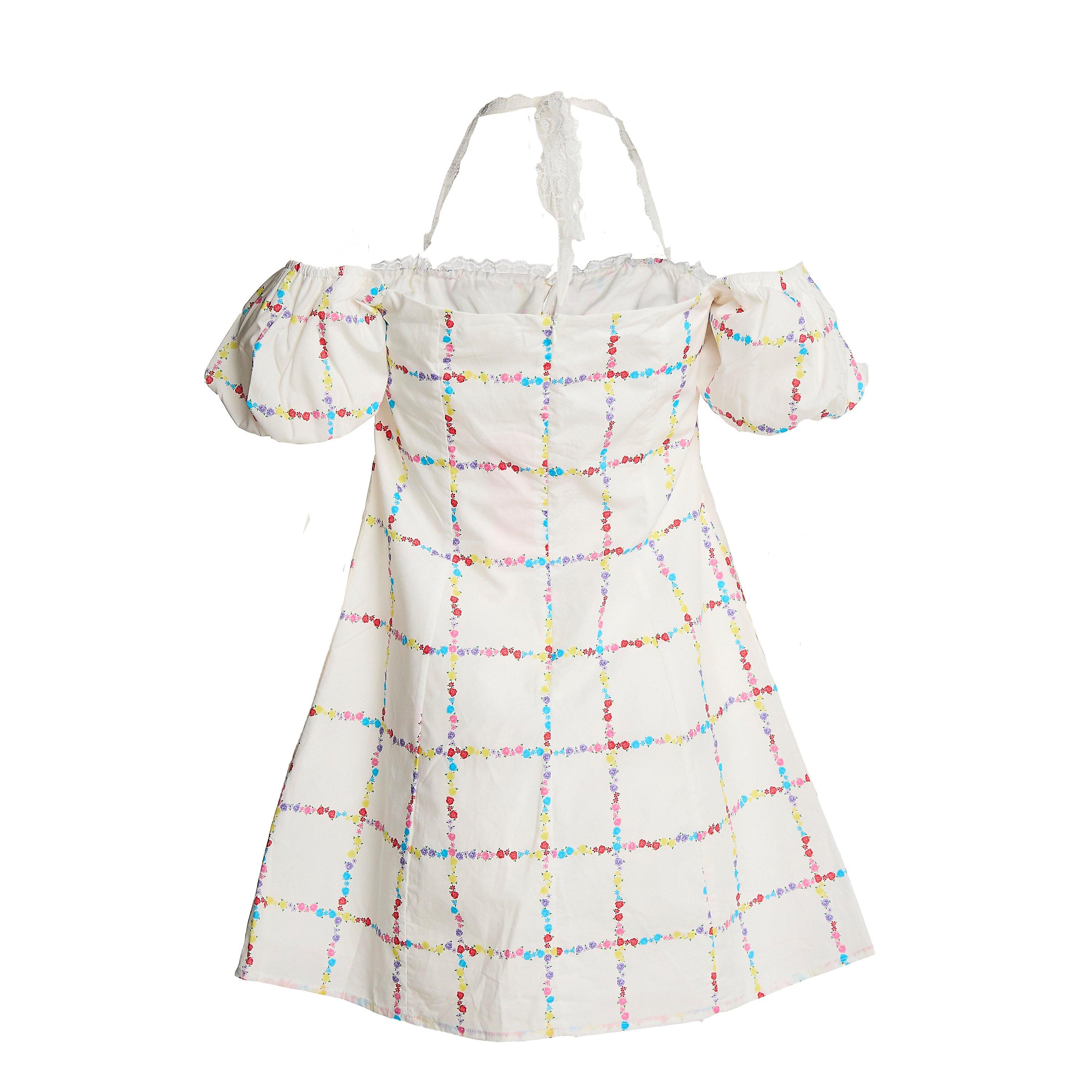 Collective The Label Picnic Floral A Line Mini Dress