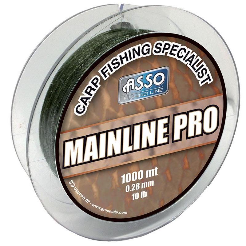Nylon Carpe Asso Mainline Pro 1000M - Vert